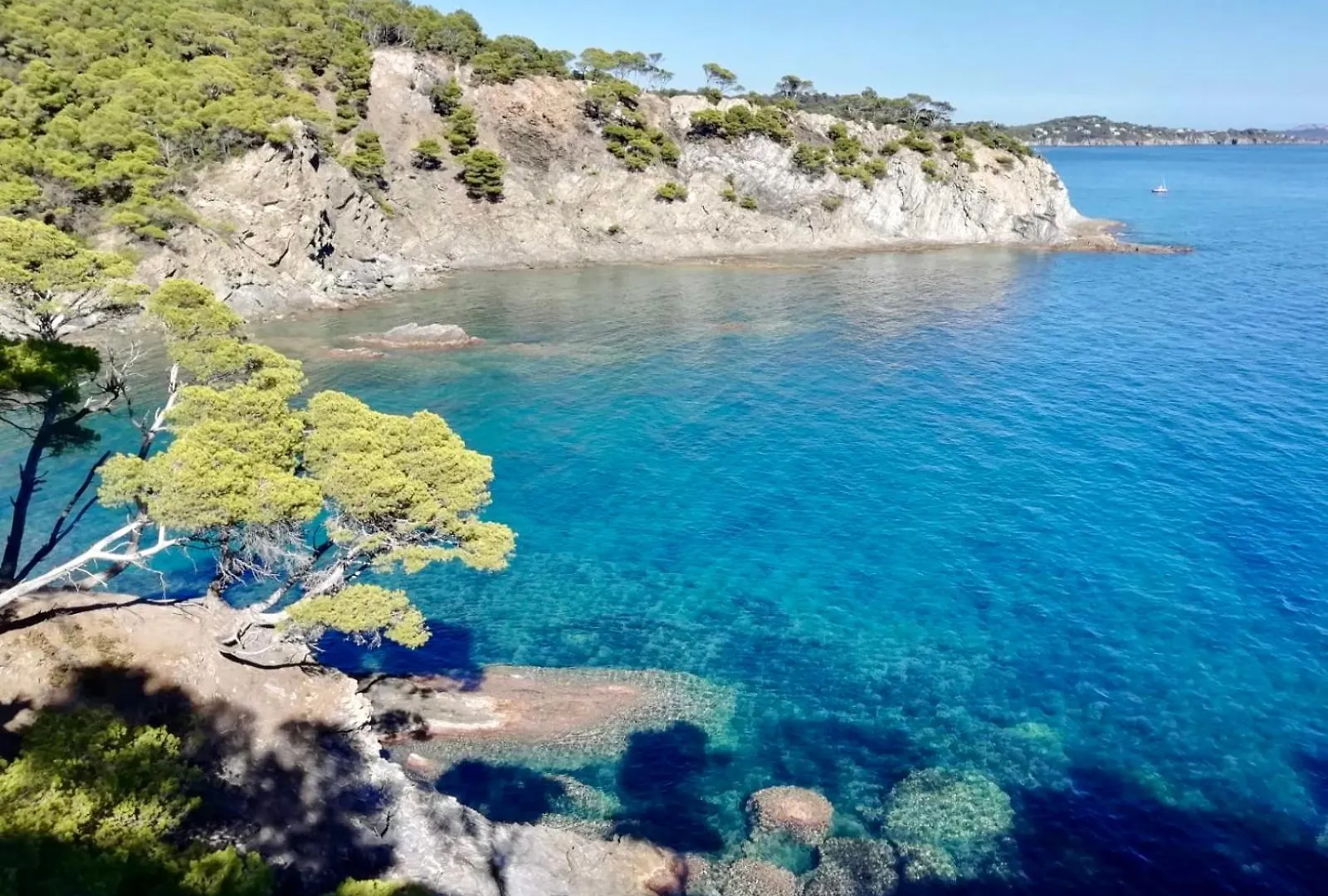 Appartement Cosy Vue Mer A 50 M De La Plage - Refait A Neuf Et Climatise Le Pradet Apartment